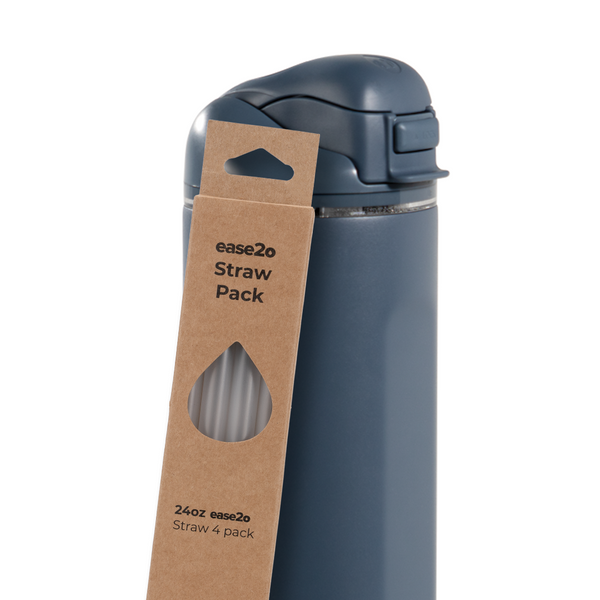 Ease2o Straws 4 Pack 24oz H3